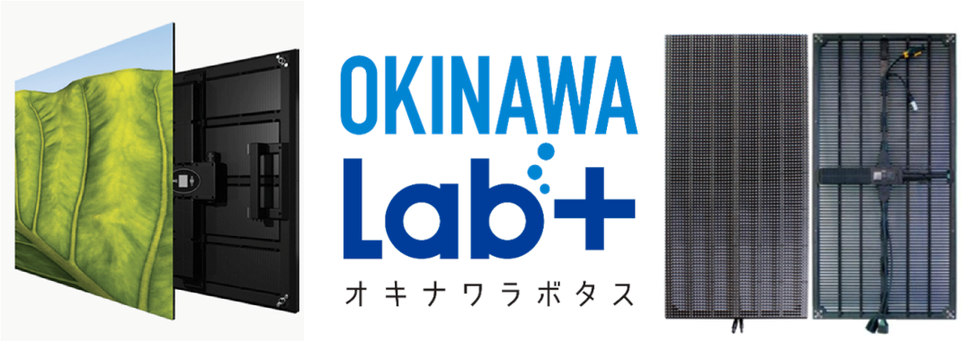 オキナワラボタス